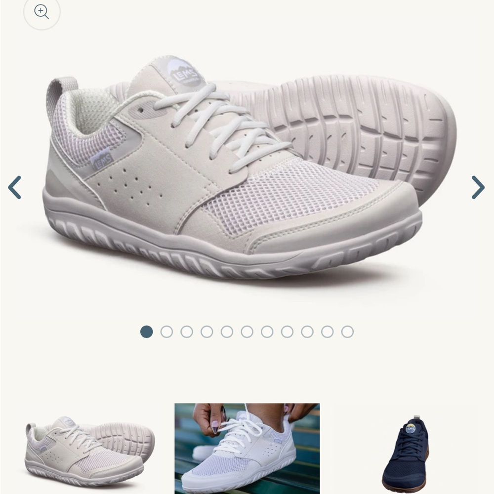 Lems primal zen’s
